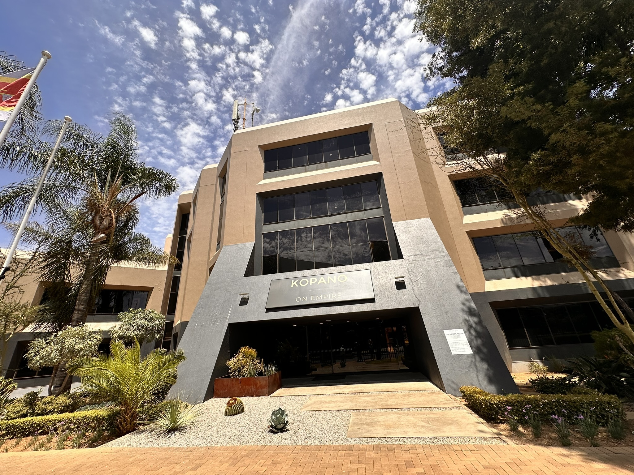 Office space to let in Kopano, 224 m² in Parktown, Johannesburg