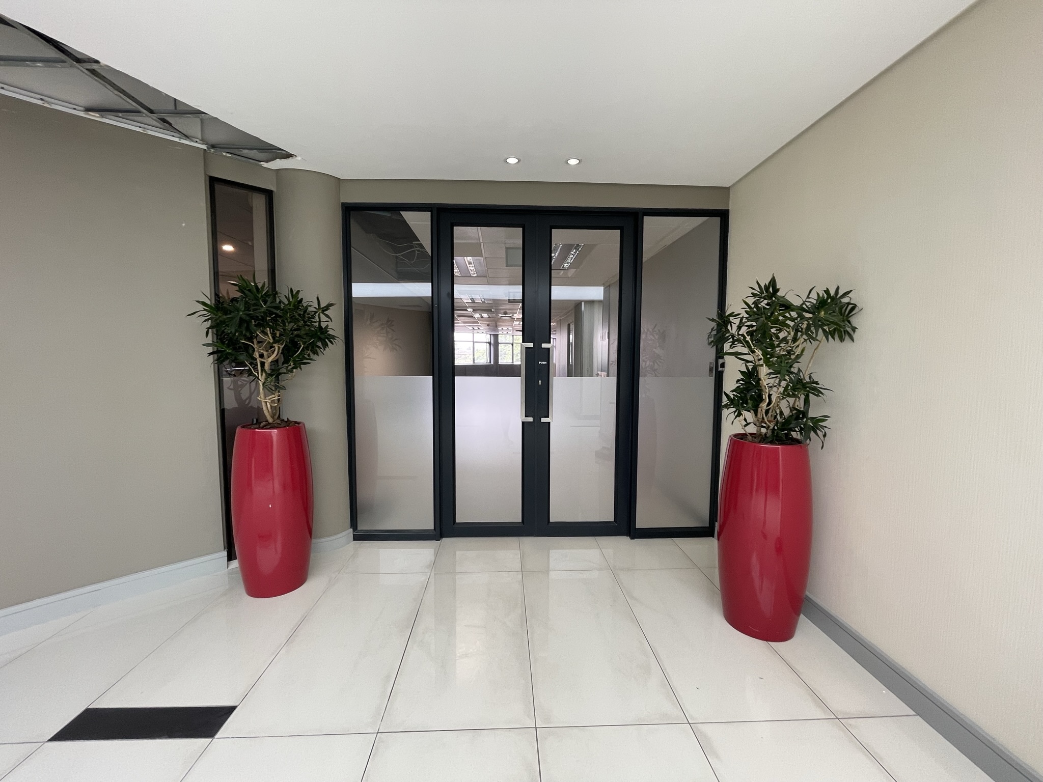 Office To Let: 436 m² in Sunnyside Office Park, Parktown, Johannesburg