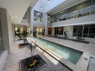 A-Grade Office Space of 486 m² To Let in Houghton Estate, Johannesburg